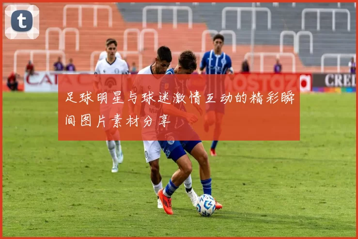 足球明星与球迷激情互动的精彩瞬间图片素材分享