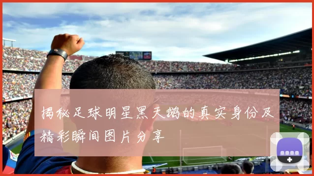 揭秘足球明星黑天鹅的真实身份及精彩瞬间图片分享