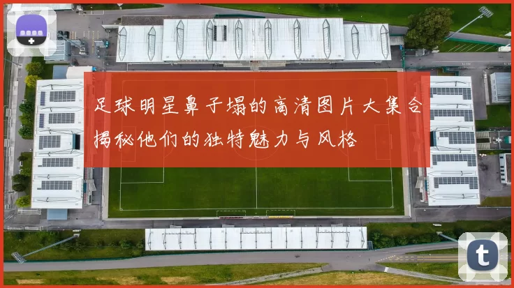 足球明星鼻子塌的高清图片大集合揭秘他们的独特魅力与风格