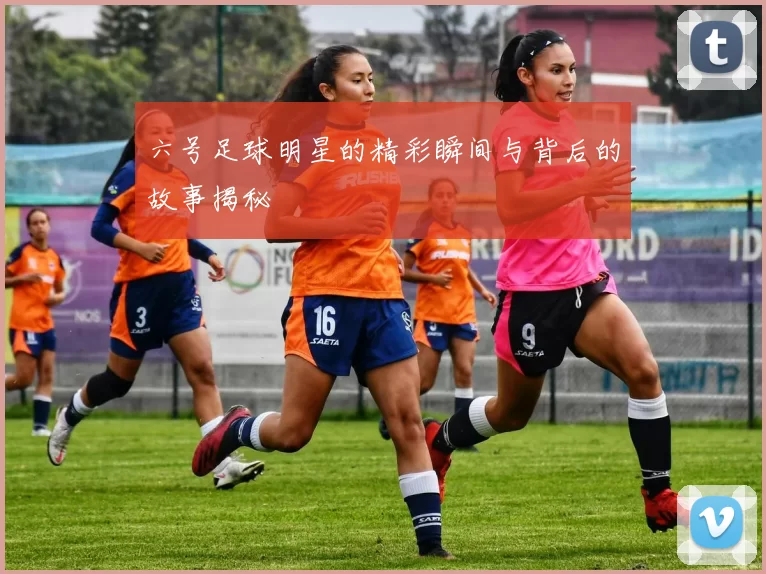 六号足球明星的精彩瞬间与背后的故事揭秘