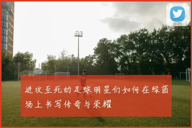 进攻至死的足球明星们如何在绿茵场上书写传奇与荣耀